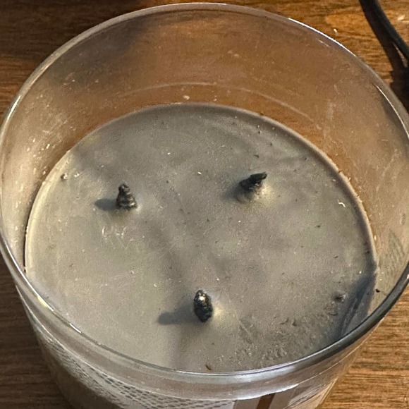 Bath & Body Works Black Tie Holiday 3 Wick Candle Sage Sandalwood Tonka 14.5 oz - Picture 6 of 9